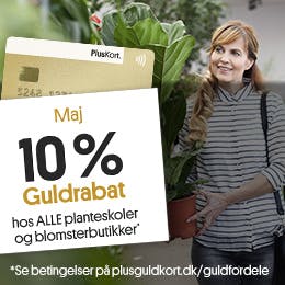 Få 10 % med dit PlusGuldkort!